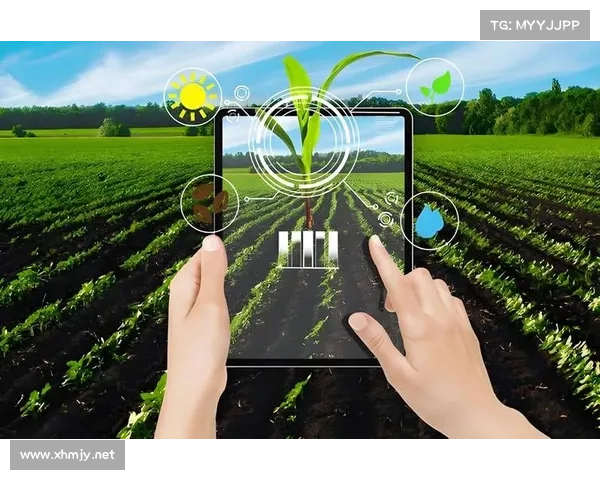 TomTom引领导航技术创新实现精准定位 助力智能出行新时代 TomTom引领导航技术创新实现精准定位 助力智能出行新时代