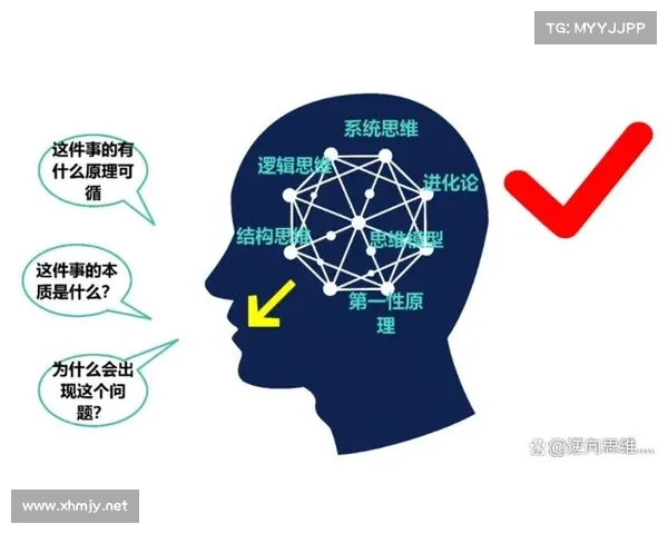 如何通过圣导师加点系统科学提升角色全面能力并实现最佳成长路径 如何通过圣导师加点系统科学提升角色全面能力并实现最佳成长路径