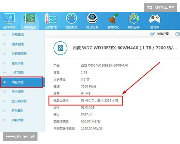 鲁大师评测:全面提升电脑性能的必备优化工具详解 鲁大师评测:全面提升电脑性能的必备优化工具详解