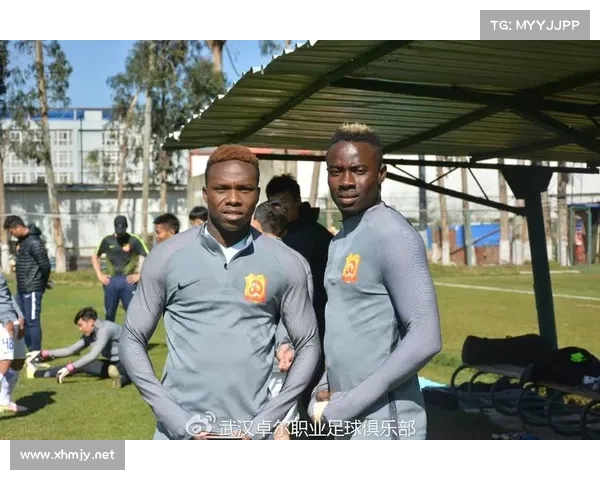 埃弗拉职业生涯全解析与发展趋势指导从起步到巅峰的成长轨迹