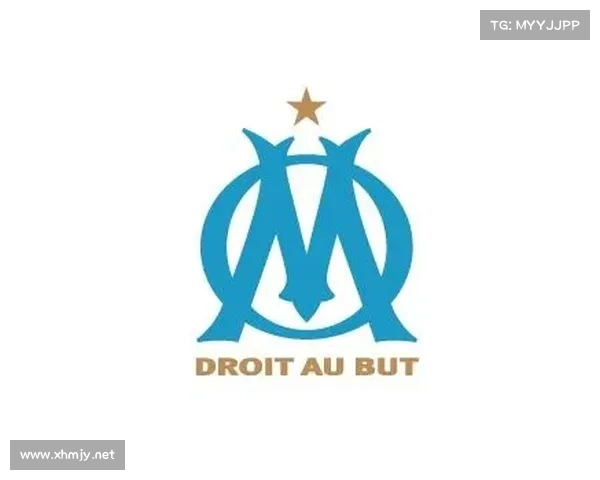 全面解析法甲冠军标志设计元素与象征意义的深度全景详解集要