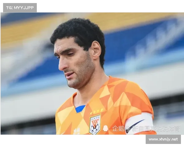 意甲联赛历史演变与现状分析探讨球队发展动态及未来趋势