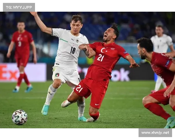 捷克队惊艳欧洲杯1996晋级决赛背后的传奇与挑战